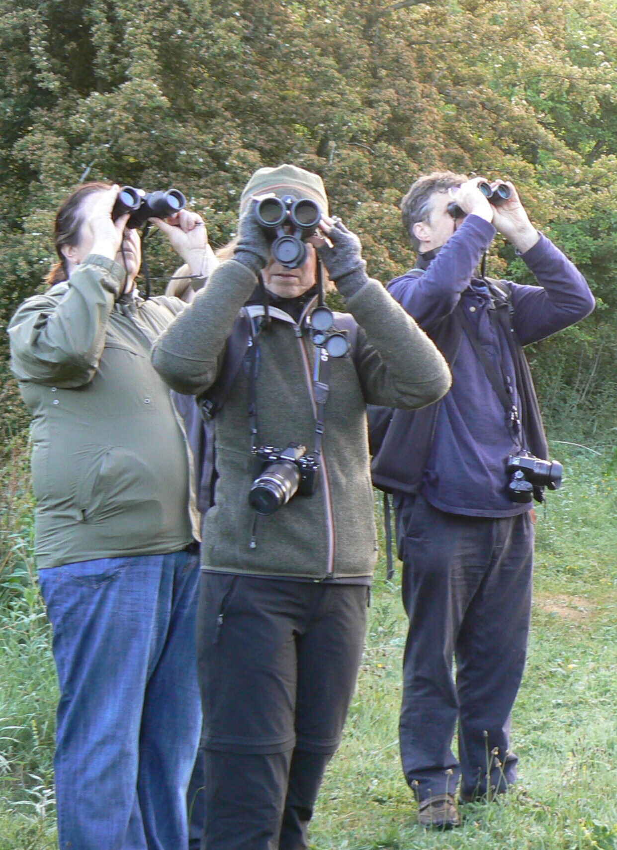 Dawn chorus workshop at Hadfast Valley SWT Reserve, Midlothian. Photo by Natalie Harmsworth.