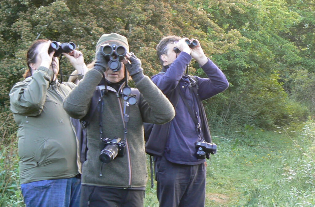 Dawn chorus workshop, Hadfast Valley SWT Reserve, Midlothian. Photo by Natalie Harmsworth
