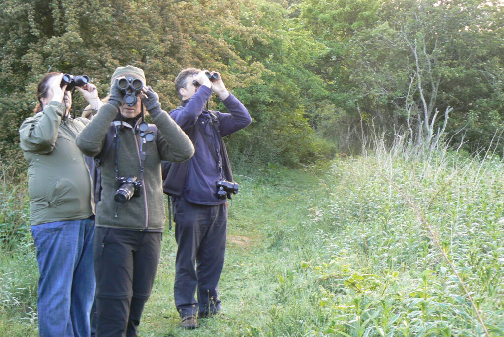 Photo by Natalie Harmsworth Dawn chorus workshop, Hadfast Valley SWT Reserve, Midlothian. Photo by Natalie Harmsworth
