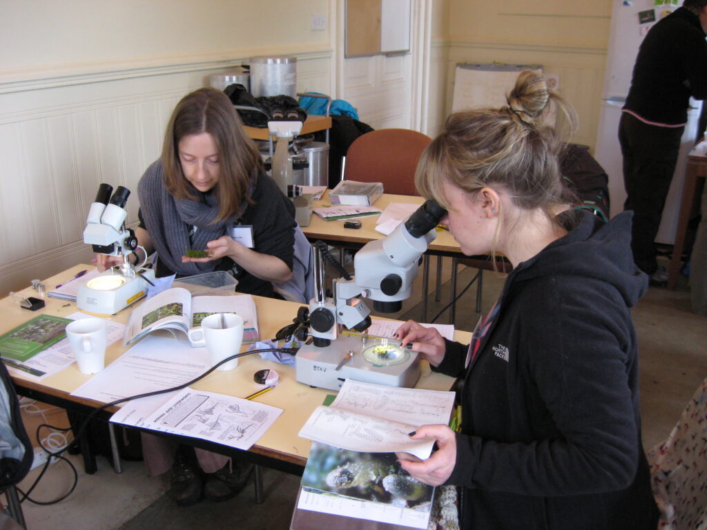 Two participants sit at a table during a bryophyte identification workshop, examining moss samples with microscopes while using field guides and notes. One person holds a small clump of moss while another studies specimens under a microscope. The table is covered with books, hand lenses, and identification sheets, showing a hands-on learning environment.