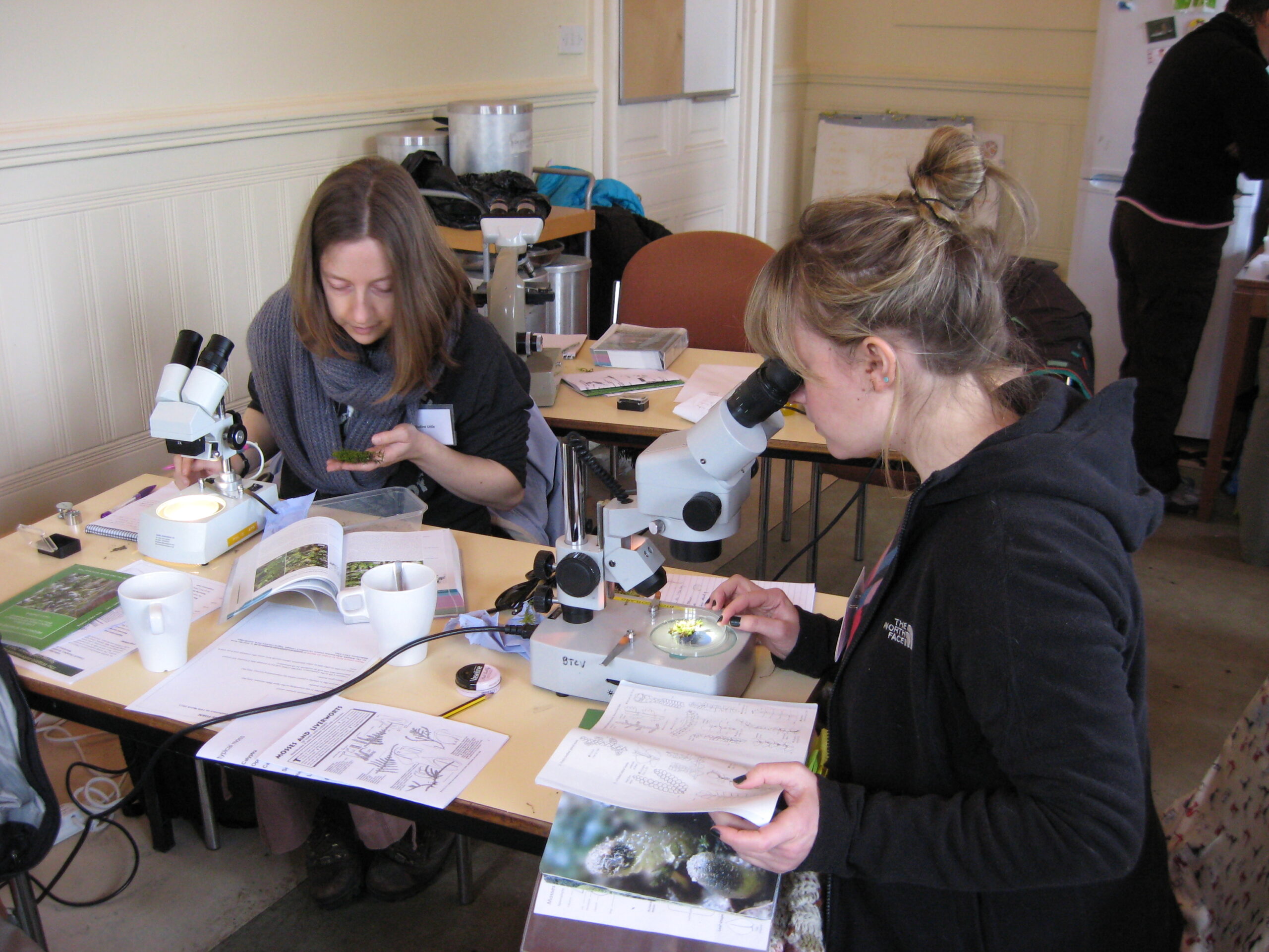 Two participants sit at a table during a bryophyte identification workshop, examining moss samples with microscopes while using field guides and notes. One person holds a small clump of moss while another studies specimens under a microscope. The table is covered with books, hand lenses, and identification sheets, showing a hands-on learning environment.